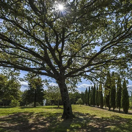 Casale Cipressi *
